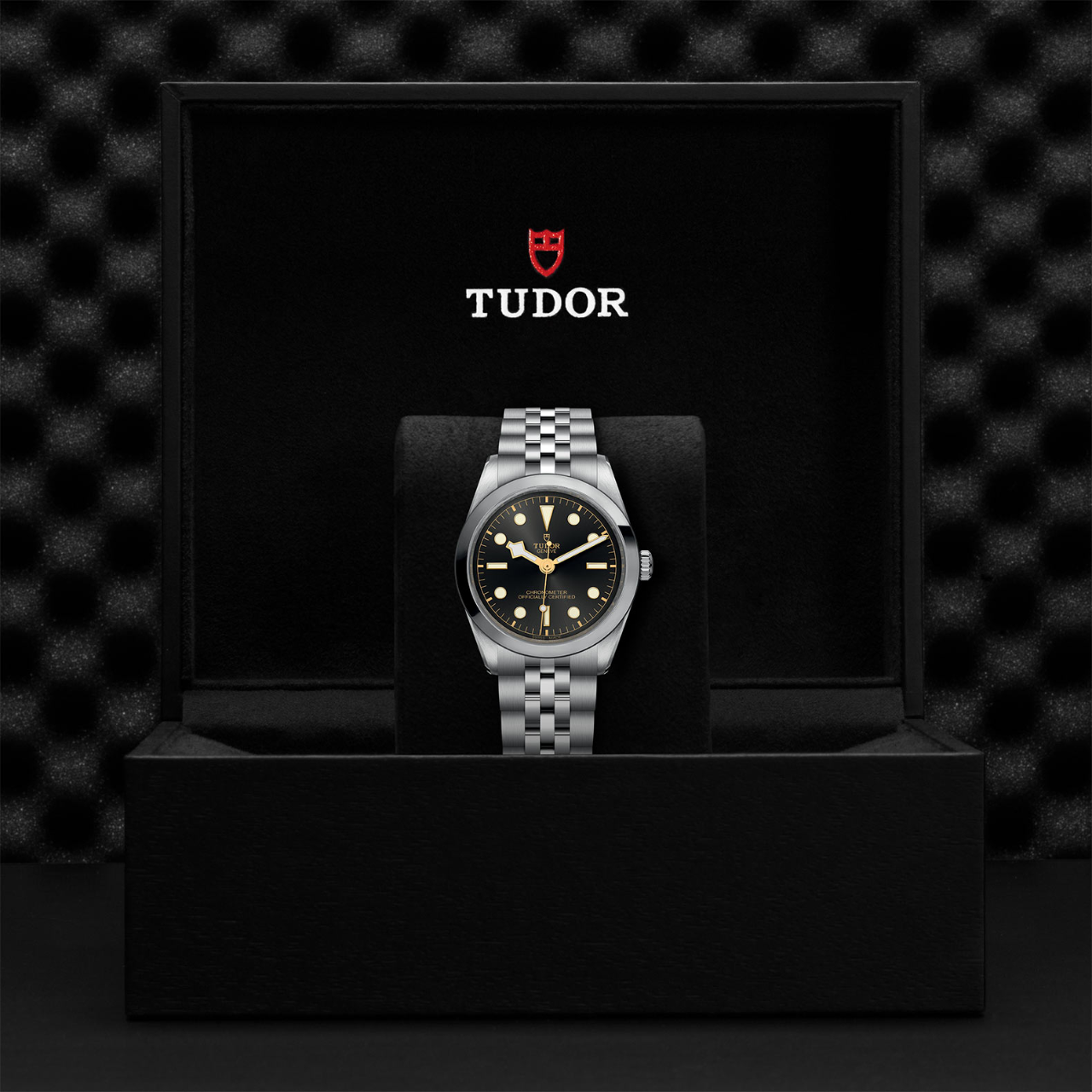 Tudor black bay 36 water resistance outlet